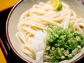 人気の「しょうゆうどん」